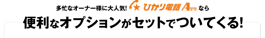多忙なオーナー様に大人気!ひかり電話エースなら便利なオプションがセットでついてくる!