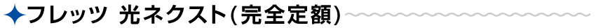 フレッツ 光ネクスト(完全定額) フレッツ 光ネクスト(完全定額)